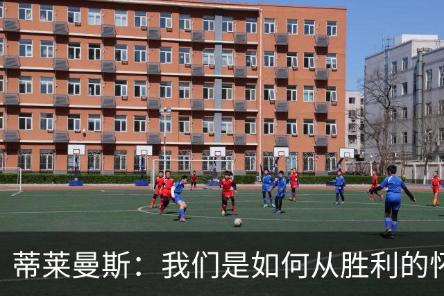 蒂莱曼斯：我们是如何从胜利的怀抱掉入失落的深渊的